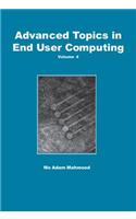 Advanced Topics in End User Computing, Volume 4