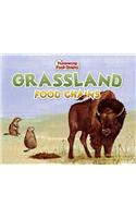 Grassland Food Chains