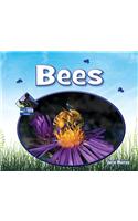 Bees