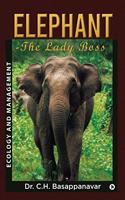 Elephant-The Lady Boss