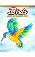 Birds Super Fun Coloring Book: Bird Lovers Coloring Book with 45 Gorgeous Peacocks, Hummingbirds, Parrots, Flamingos, Robins, Eagles, Owls Bird Designs and More! - Relaxing Bird C