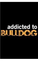 Addicted To Bulldog