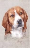 Beagle Dog Portrait Notebook