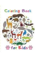 Coloring Book for Kids