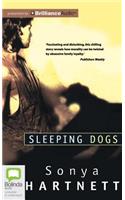 Sleeping Dogs