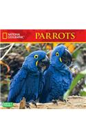 Cal 2019 National Geographic Parrots