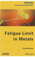 Fatigue Limit in Metals
