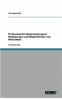 Professioneller Mannschaftssport - Bedingungen und Möglichkeiten von Motivation