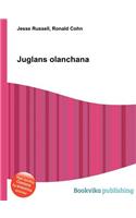 Juglans Olanchana: (English)