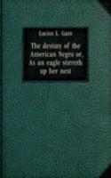 destiny of the American Negro