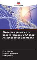 Étude des gènes de la bêta-lactamase OXA chez Acinetobacter Baumannii