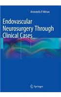 Endovascular Neurosurgery Through Clinical Cases