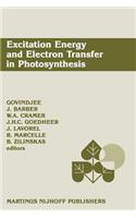 Excitation Energy and Electron Transfer in Photosynthesis