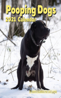 Pooping Dogs 2021 Calendar