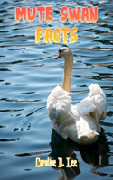 Mute Swan Facts