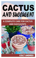 Cactus and Succulent