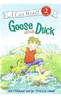 Goose and Duck