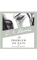 The Problem of Pain