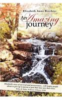 Amazing Journey