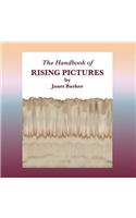 The Handbook of Rising Pictures