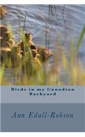 Birds in My Canadian Backyard