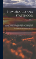 New Mexico and Statehood