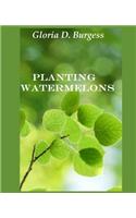 Planting Watermelons