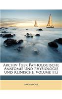 Archiv Fur Pathologische Anatomie Und Physiologie Und Klinische Medicin. Band CXIII. Folge XI. Band III.