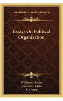 Essays on Political Organization