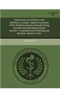Interaction of Excitatory and Inhibitory Synaptic Inputs in Neurons of the Thalamocortical Network During Normal and Pathological Brain Activity