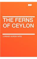 The Ferns of Ceylon