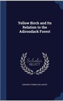 Yellow Birch and Its Relation to the Adirondack Forest: (English)