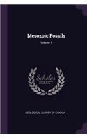 Mesozoic Fossils; Volume 1
