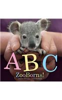 ABC Zooborns!
