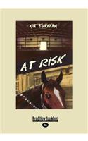 At Risk (Large Print 16pt)