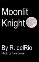 Moonlit Knight