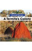 A Termite's Colony