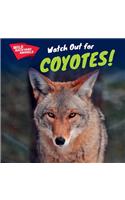 Watch Out for Coyotes!