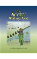 Secret Wishing Pond