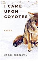 I Came Upon Coyotes