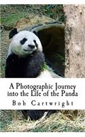 A Photographic Journey into the Life of the Panda