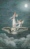 Fairies Riding Owl - Birthday Greeting Card: Greeting Card 6 Cards Individually Bagged With Envelopes and Header