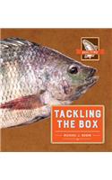 Tackling the Box: (Reel Time)