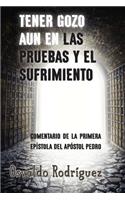 Tener Gozo Aun En Las Pruebas Y El Sufrimiento