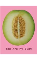 You Are My Cunt: NSFW Sweary Cuss Word - Funny Spicy Journal, Size 8,5 x 11, Pages 100, Gift Notebook