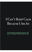 I cant Keep Calm because I am an Entrepreneur: Writing careers journals and notebook. A way towards enhancement