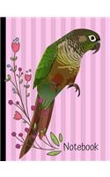 Notebook: Green Cheek Conure Bird Pink School Composition Notebook 100 Pages Wide Ruled Lined Paper