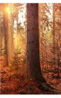 Autumn Notebook