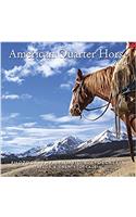 American Quarter Horse 2018 Calendar