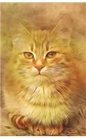 Bullet Journal for Cat Lovers Tabby in the Hay